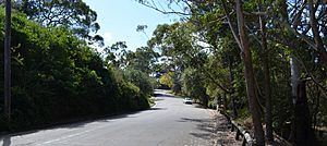 Annette Street Oatley NSW.jpg