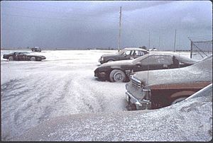 Ashfall from Pinatubo, 1991