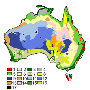 Australian Vegetation