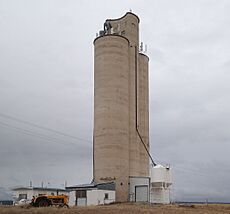 Bean Tower 1