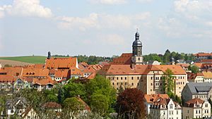 Blick auf die Stadt Dippoldiswalde.jpg