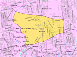 U.S. Census Map