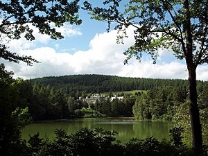 Bowhill - geograph.org.uk - 29633