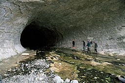 Cave Stream 01, New Zealand.jpg