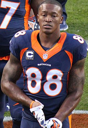 Demaryius Thomas 2014