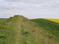 Devil's dyke.14.7.05