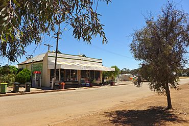 Doodlakine Store, 2014.JPG