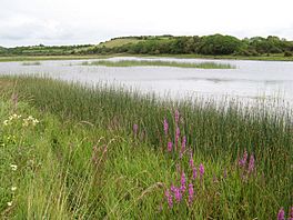 Durnesh Lake (geograph 2534856).jpg