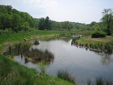 Edwards Run at Edwards Run WMA