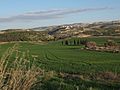 Elah Valley below Adullam