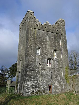 Foulksrath Castle 02