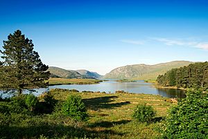 Glenveagh National Park (2579034038)