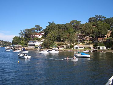 Gymea Bay 2.JPG