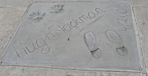 Hugh Jackman graumans