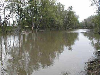 Iroquois River.jpg