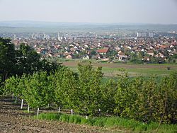 Kladovo - panorama