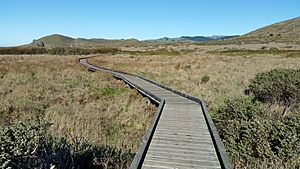 Kortum Trail Wooden Walkway