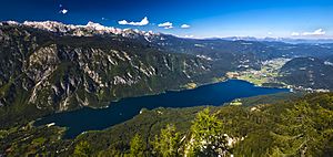 Lake Bohinj (9452094709)