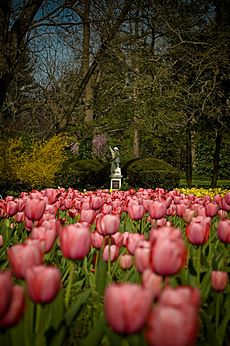 Lexington Cemetery