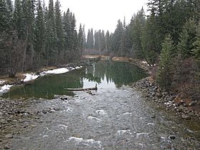 Miette River JNP.JPG