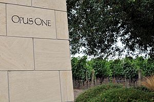 Napa Valley Opus One Photo D Ramey Logan 01