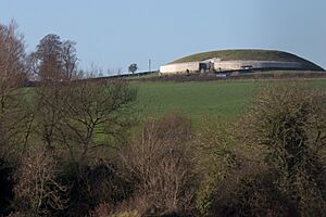 Newgrange at a distance