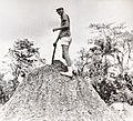 On mud volcano. Trinidad