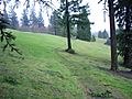 Pdx washpark hoytarboretum meadow