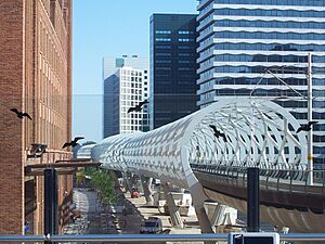 RandstadRail Den Haag netkous