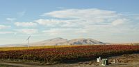 Red Mountain toward Rattlesnake Mountain