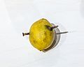 Rusty nail through lemon superstition