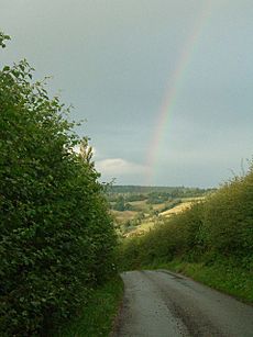 The lane to Avenbury - geograph.org.uk - 44282