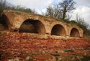 The remains of Cockham Woods Fort - geograph.org.uk - 1603520.jpg