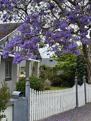 Victory Street, Asquith