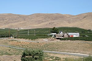 View from Sagelands Vineyard