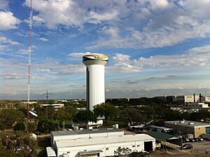 Watertower usf tampa