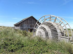 Ynyslas Sand Dunes 2.jpg