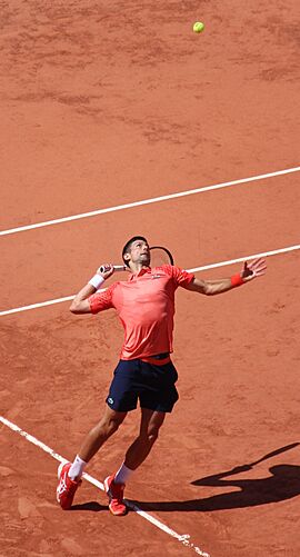 2023RGNovakDjokovic (cropped)