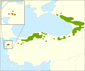 Abies nordmanniana range.svg