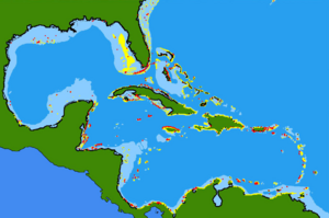 Acanthurus chirurgus range.png