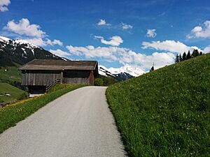 Alpbach 2