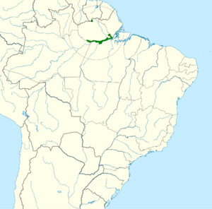 Aratinga maculata map.svg