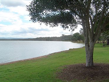 Atkinson Dam shoreline 3.jpg