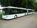 AutoTram Extra Grand 2013.JPG