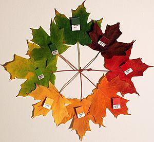 Autumn leaves (pantone) crop