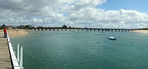 Barwon Heads bridge Stevage