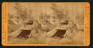 Bath House in the Yosemite (NYPL b11708169-G91F396 012F)f