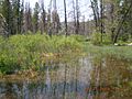 Behind Stanley Lake 1