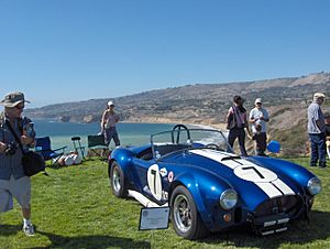 Blue Cobra by Blue Pacific