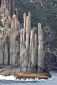 CAPE RAOUL, TASMAN NATIONAL PARK